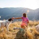10 Best Tips And Tricks For Camping With Dogs