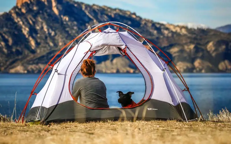 10 Best Tips And Tricks For Camping With Dogs