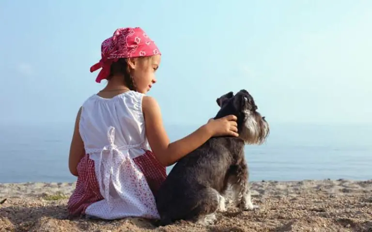 Top 10 Best Small Dog Breeds For Families With Children